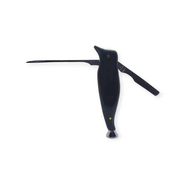 PhotoRoom-20231219_174249